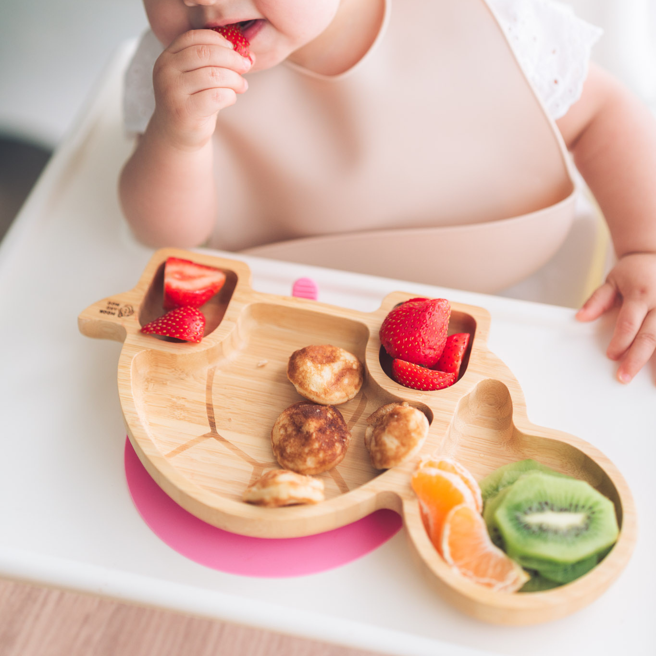 Tortoise Bamboo Suction Plate